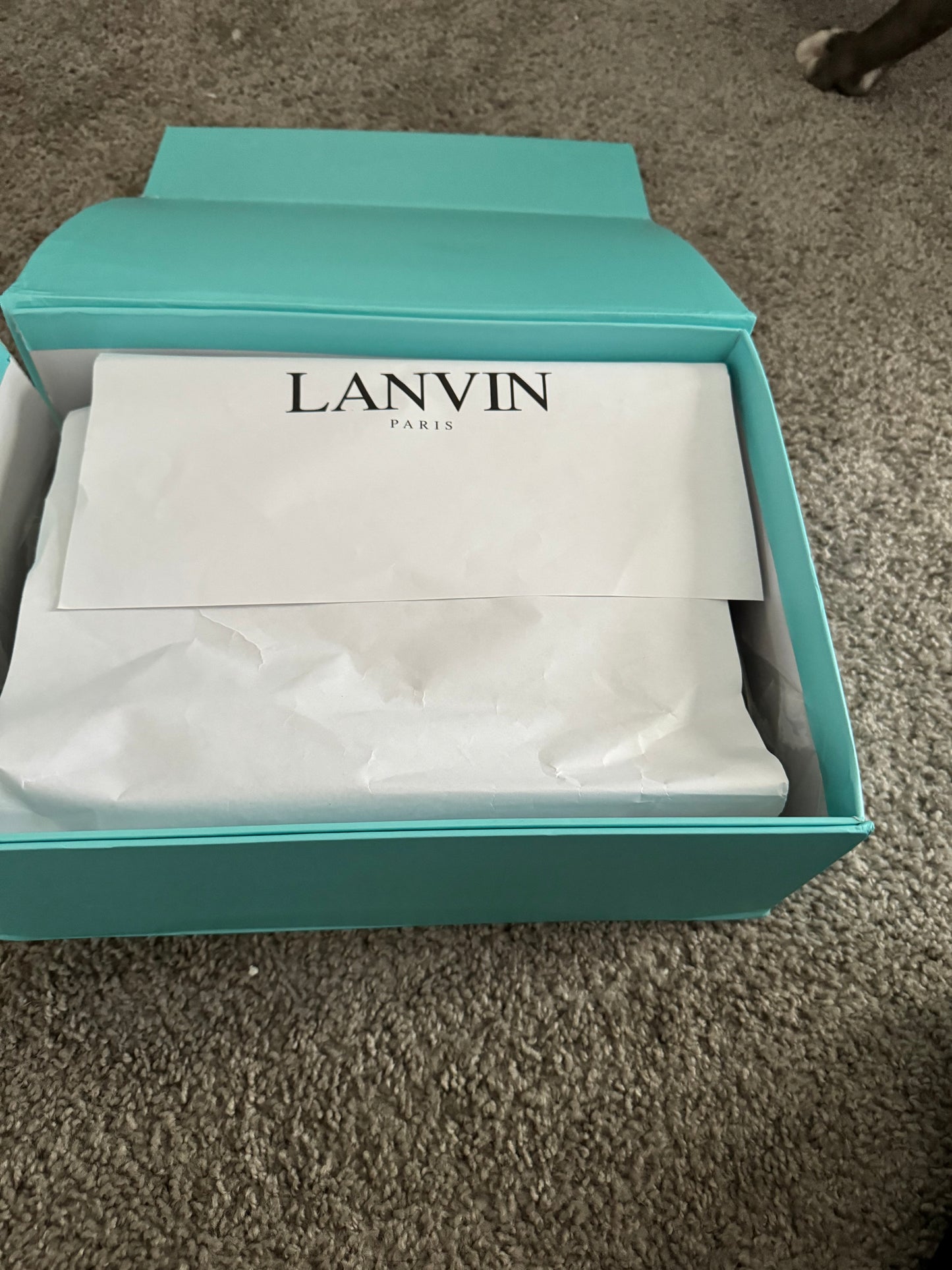 Lanvin shoes